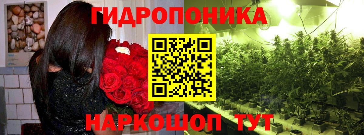 Марихуана White Widow  Бошки марихуана SATIVA & INDICA  Шишки марихуана индика  Вход с VPN  Конопля White Widow  Карачаевск 